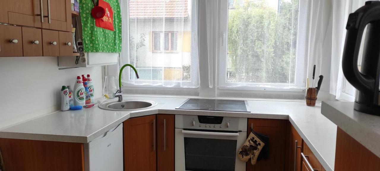 Ubytovani Ostrov U Macochy Buitenkant foto
